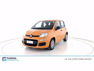 FIAT PANDA HYBRID FIREFLY 70CV