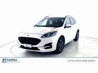 FORD Kuga 1.5 ecoblue st-line 2wd 120cv auto