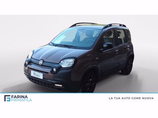 FIAT Panda 1.2 trussardi s&s 69cv