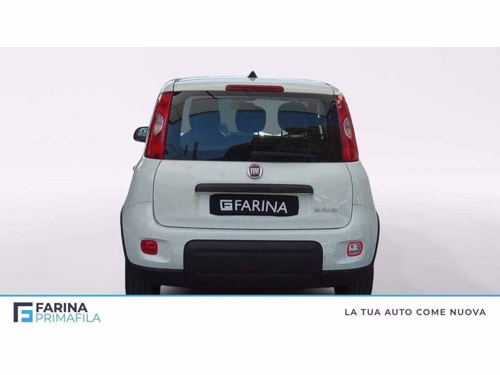 FIAT Panda MY 21 1.0HYBRID CITY LIFE 70CV