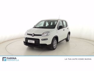 FIAT Panda 1.0 firefly hybrid s&s 70cv