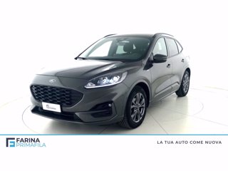 FORD Kuga 1.5 ecoblue st-line x 2wd 120cv