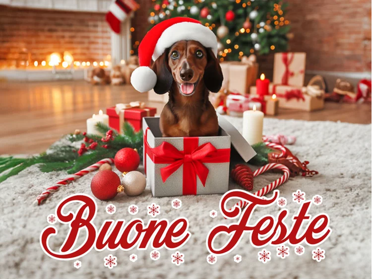 Buone Feste da Gruppo Farina